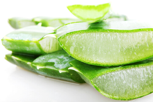 Aloe vera