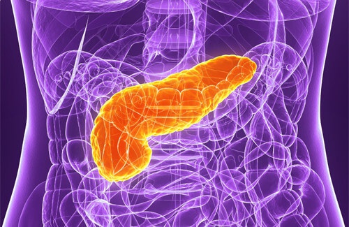 La cura del pancreas