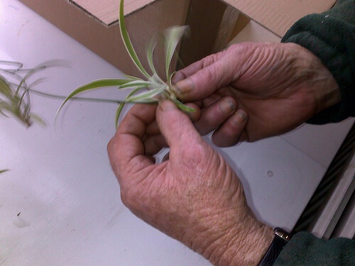 Unghie che si sfaldano? Può essere dovuto anche all'uso di smalti e solventi.