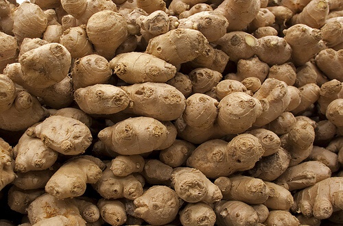 Tante radici di zenzero