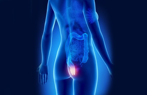 Imparate a riconoscere le emorroidi in tempo