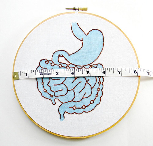 Intestino tenue e stomaco