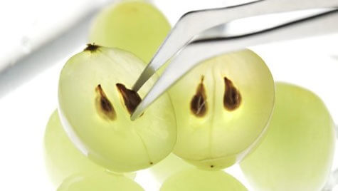 acini d'uva con semi