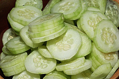 Fette di cetriolo