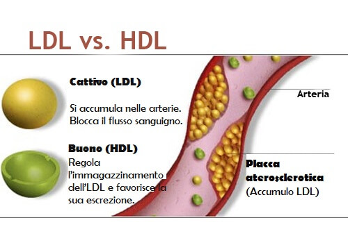 Colesterolo nelle vene accumulo