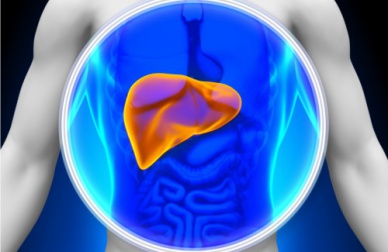 Depurare il fegato in modo naturale e con il cibo