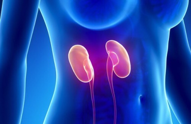 Pulire i reni in una settimana con la giusta alimentazione