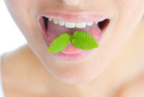 Alito cattivo e foglia di menta in bocca