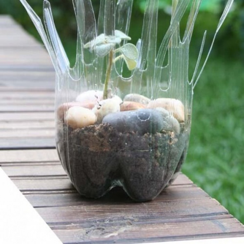 bottiglie di plastica trasformate in vasi piante