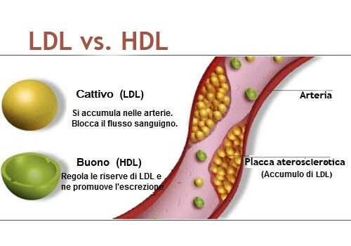 colesterolo tra le abitudini che danneggiano il cuore