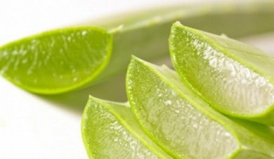Perdere peso con ananas e aloe vera