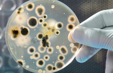 Cosa nascondono le banconote?