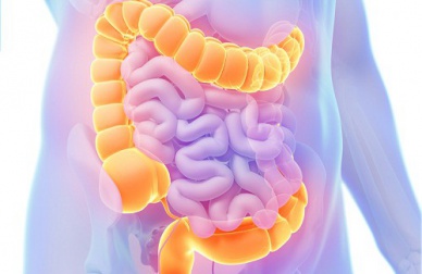 Prendersi cura del colon con le piante medicinali