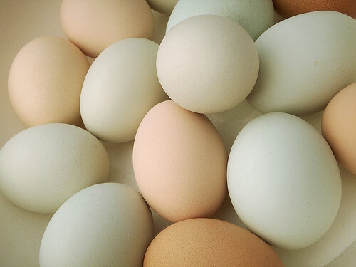 Quante uova