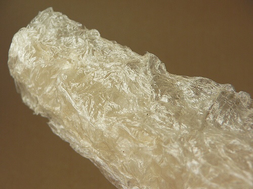 alga-agar-agar