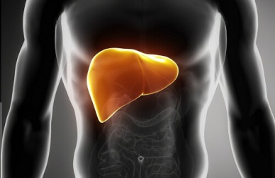 Curare il fegato grasso, ecco come