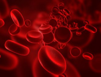 6 erbe medicinali per depurare il sangue