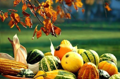 Alimenti autunnali