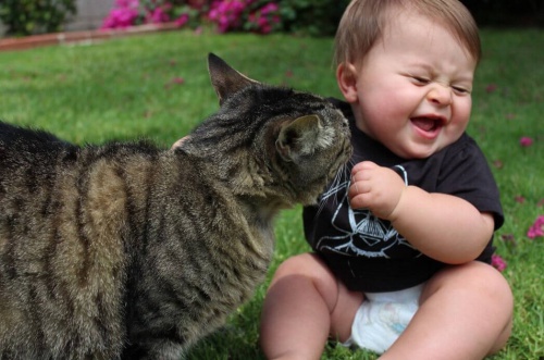 Gatto e bambino