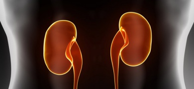 Stimolare i reni: ecco le verdure migliori