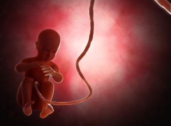 Il cambiamento climatico potrebbe eliminare il genere maschile