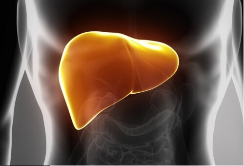 L'acne può rivelare qualcosa sulla salute del fegato