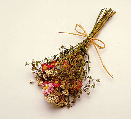 Fiori secchi