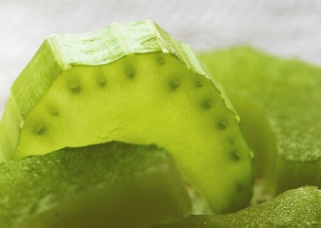 Piante per dimagrire velocemente, scopritele tutte