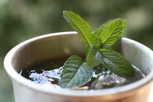 Piante per dimagrire, menta