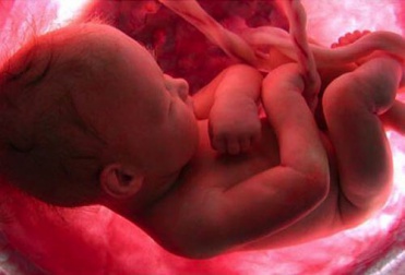 Perché non ricordiamo la nostra nascita?