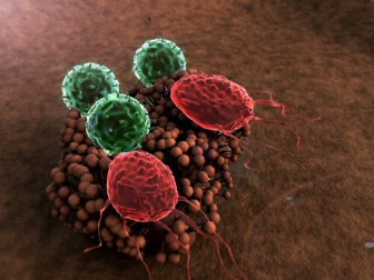 8 abitudini che distruggono il nostro sistema immunitario