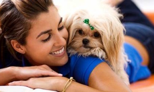 amore per gli animali