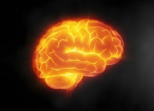 acqua per il cervello