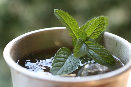 Infuso alla menta
