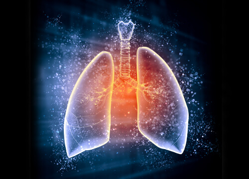 Come rigenerare i polmoni