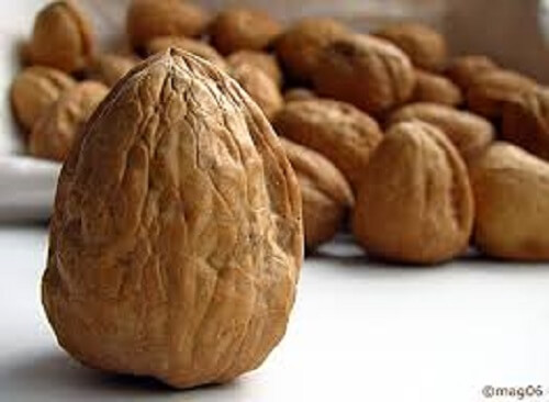 alimenti per migliorare la salute