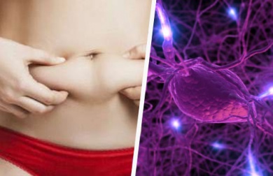 Ribilanciare gli ormoni per bruciare grasso corporeo