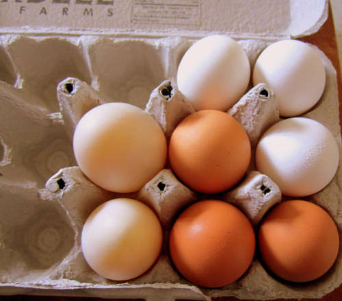 Confezione di uova