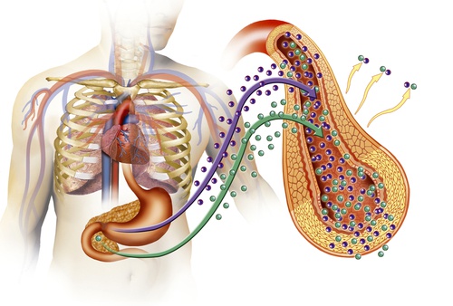 l'avena per combattere il diabete