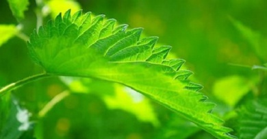 10 efficaci rimedi per smettere di russare