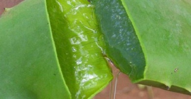 Eliminare le macchie della pelle naturalmente