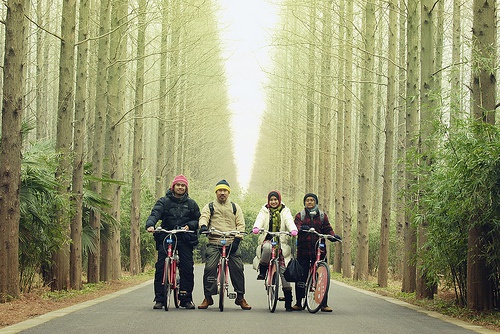 Persone in bicicletta nel bosco