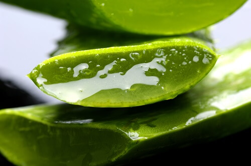 Gel di aloe vera
