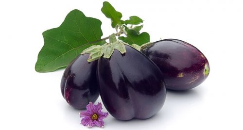 Melanzane