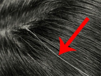 Nascondere i capelli bianchi con dei rimedi naturali