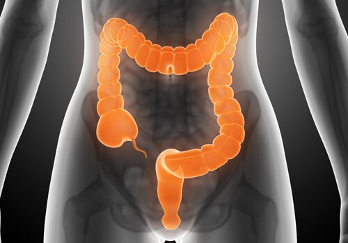 Prendersi cura del colon