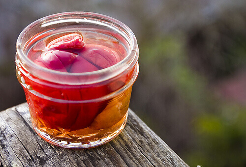 prugne contro l'acidità