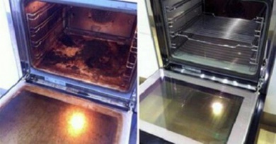 Pulire il forno con i prodotti naturali