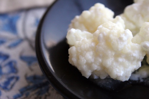 Kefir e alimenti fermentati