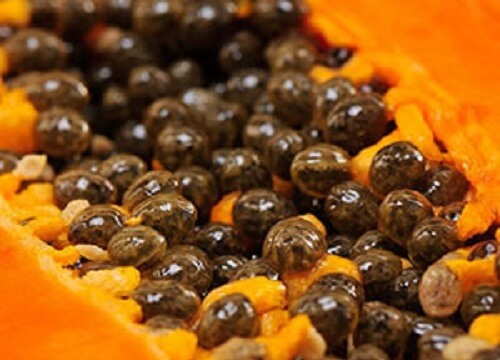 Benefici dei semi di papaya